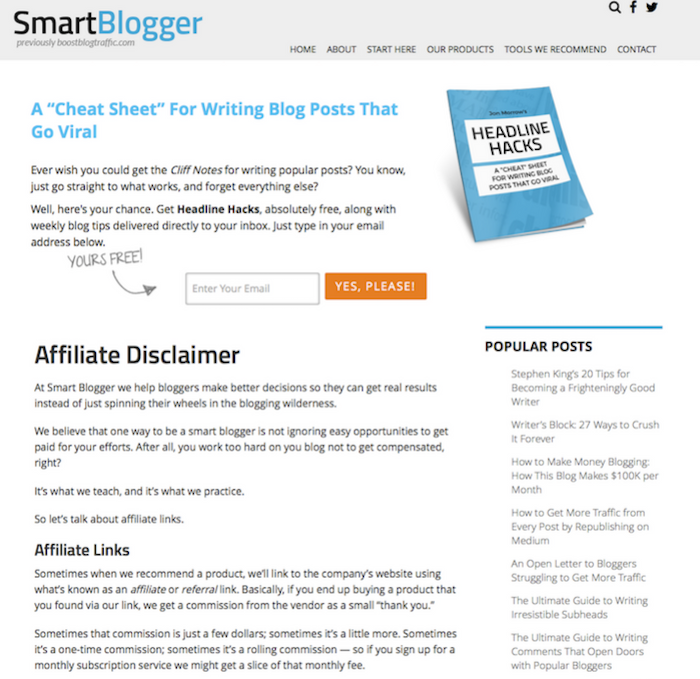 How to do Affiliate Marketing on a Budget 9 affiliate disclaimer